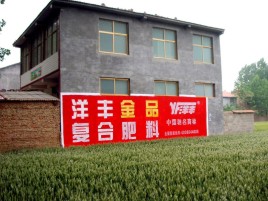 桂林如何让墙体广告展现最大化效果